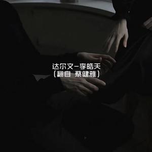 欧美啊v在线观看
